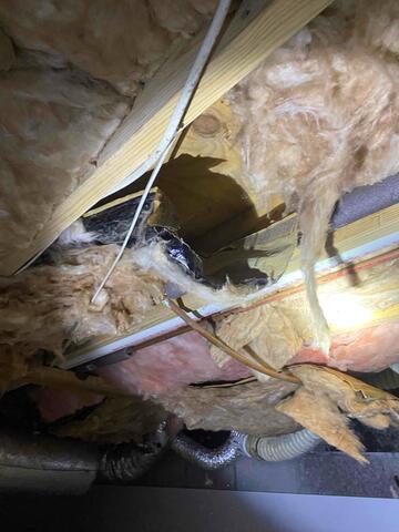 Dripping Insulation