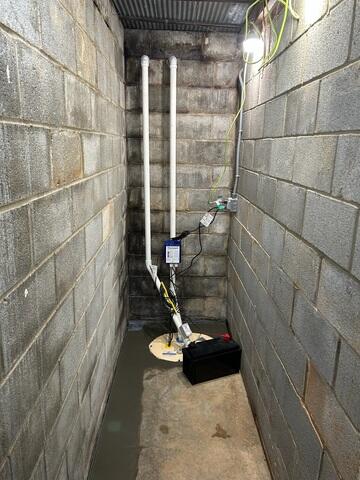 TripleSafe Sump Pump