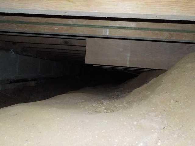 Crawl Space - Before