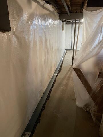 CleanSpace
