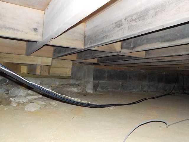 Moisture problems in the crawl space led to mold on the walls and beams.