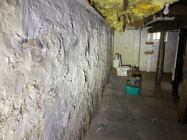 Before We Did the Work