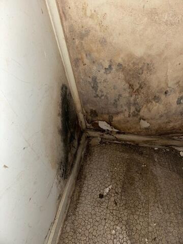 Water Damage