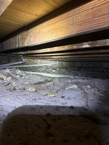 Sagging Floor Joists