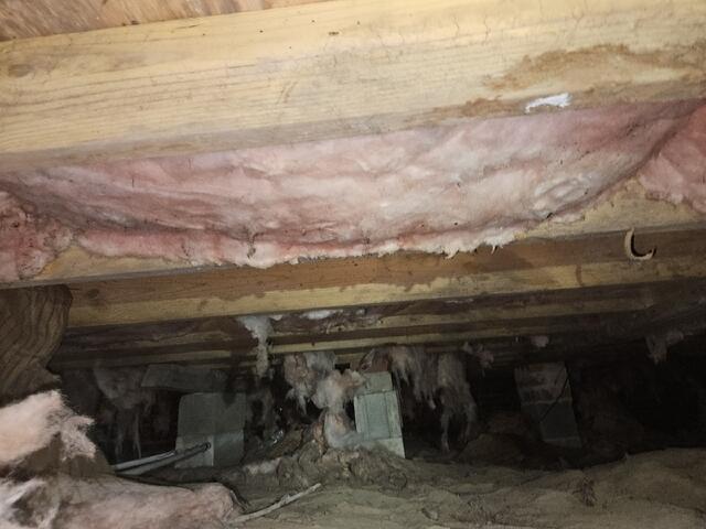 Damp Crawl Space
