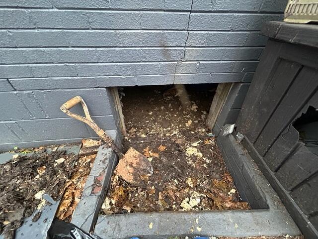 Crawl Space Door