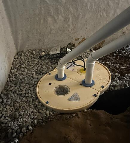 TripleSafe Sump Pump Assemblage