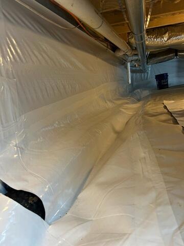 CleanSpace® Liner