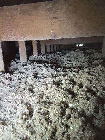 TruSoft Cellulose