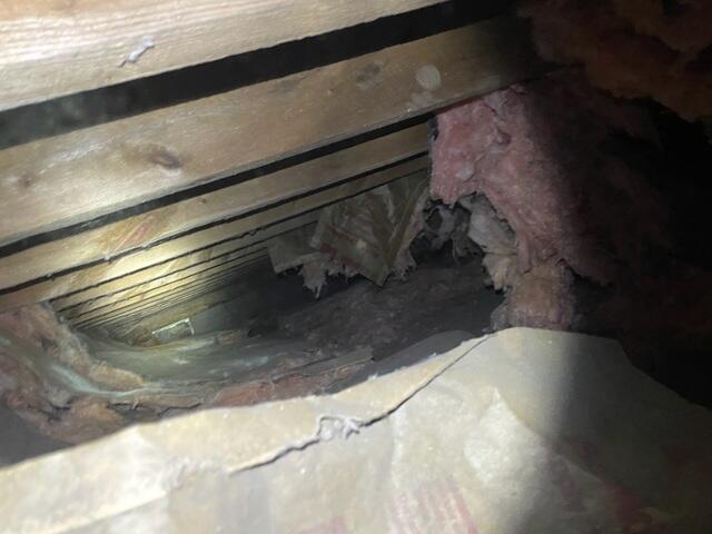 Insulation Falling