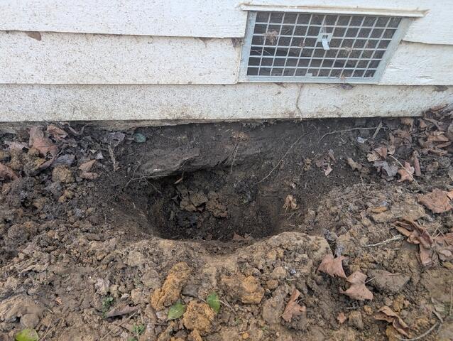 Exposing Footing