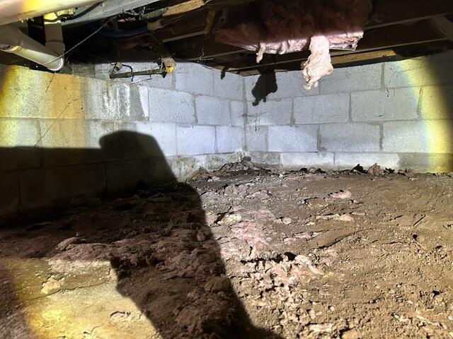 Crawl Space Damage