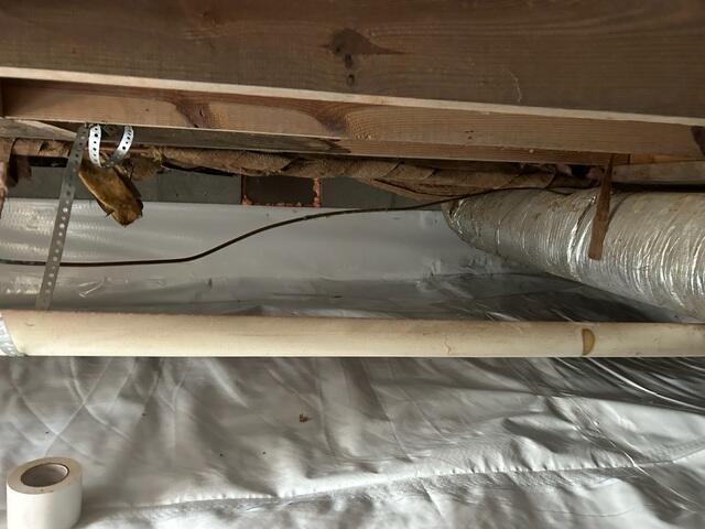 CleanSpace® System