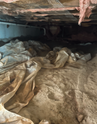 Crawlspace Ready for Treatment