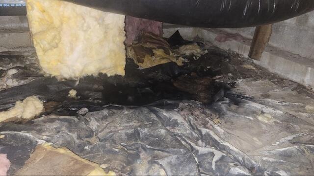 Wet Crawl Space Floor
