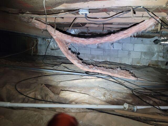 Fallen Fiber Glass