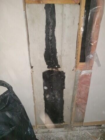 pREVIOUS REPAIR