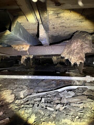 Wet Crawl Space