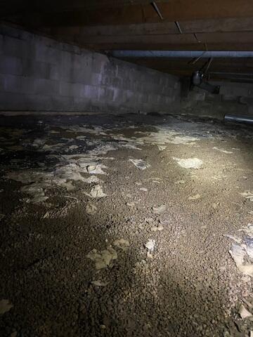 Musty Existing Crawl Space