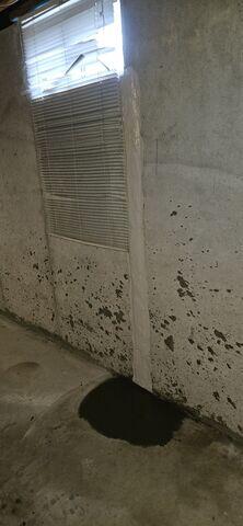 FlexiSpan Wall System