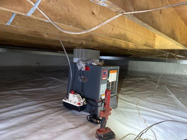 Crawl Space Transformation in Chestertown, MD