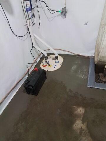 TripleSafe Sump Pump & CleanSpace