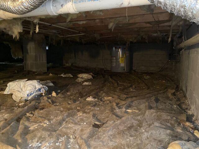 Crawl Space Transformation in Chestertown, MD