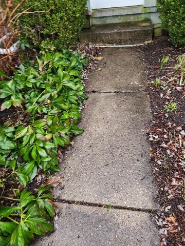 Sunken Sidewalk
