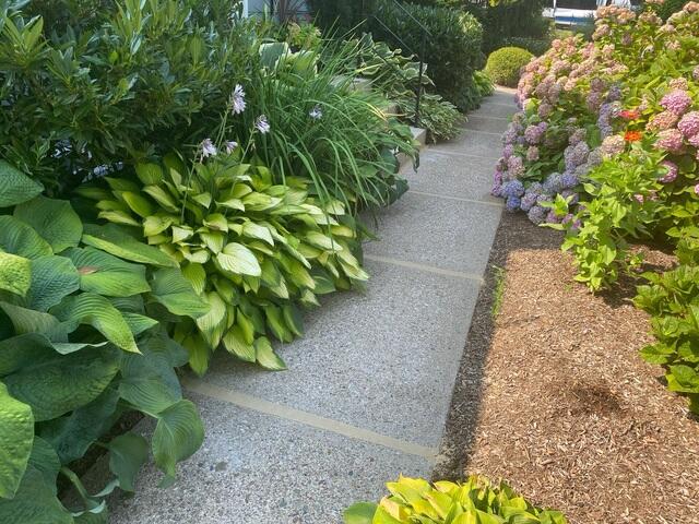 Finished Walkway