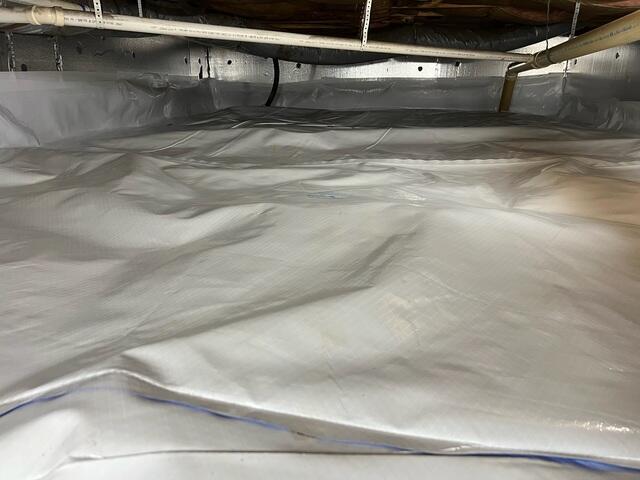 CleanSpace Liner