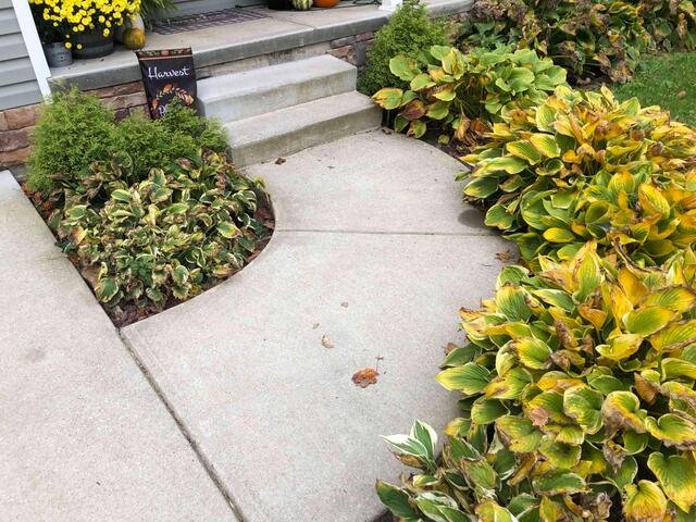 Sinking Front Steps