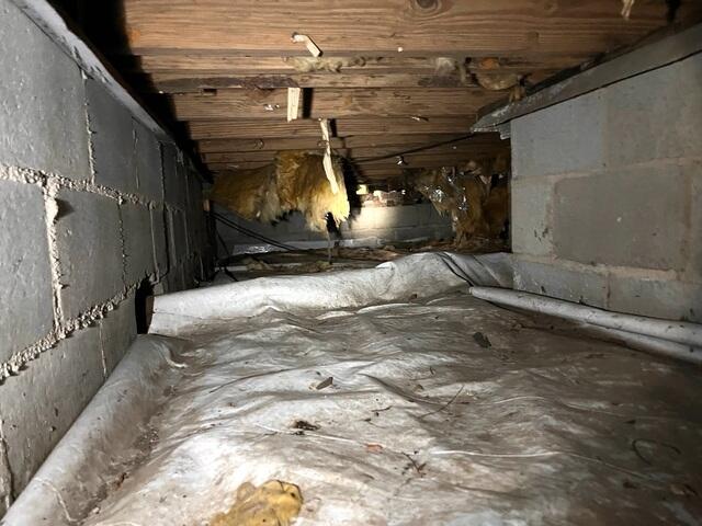 Nasty Crawl Space