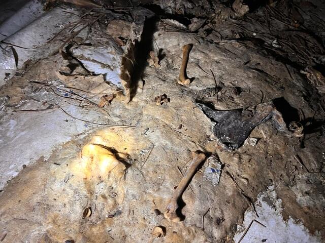 Before Debris Removal