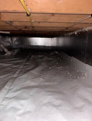 Vapor Barrier
