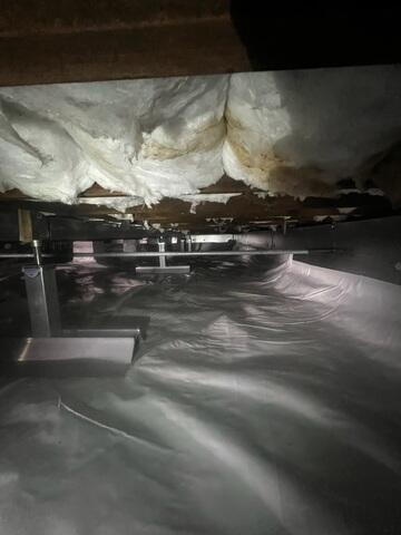 Foundation Repair