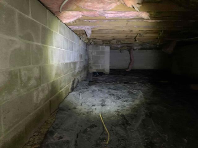 Damp Crawl Space