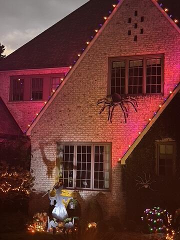 Halloween Lights in Charlotte