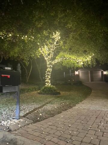 Holiday Lights in Charlotte