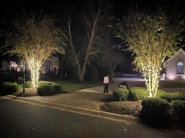 Holiday Lights in Charlotte