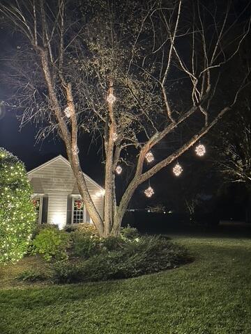 Holiday Lights in Charlotte