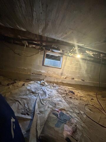 Damp Crawl Space