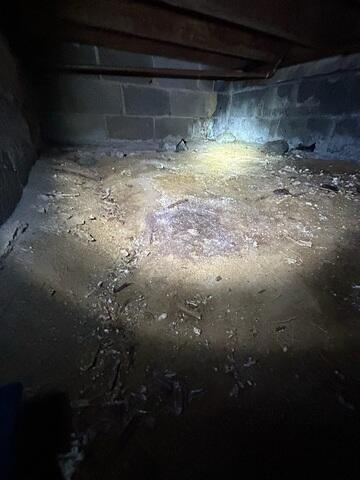 Damp Crawl Space