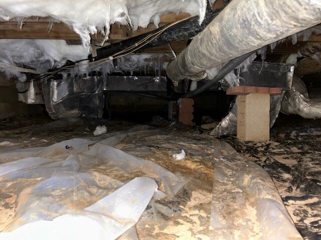 Wet Crawl Space Conditions