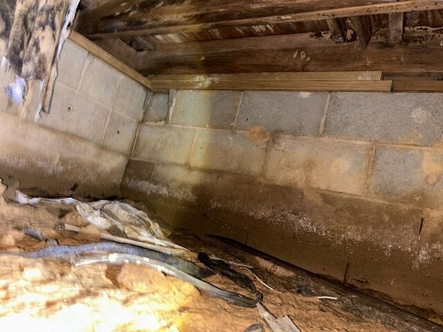 Before Waterproofing