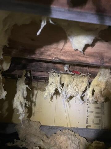 Insulation Falling Out