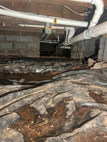 Before Waterproofing