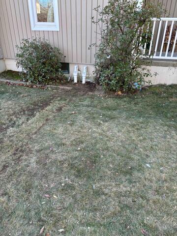 Low-Profile IceGuards