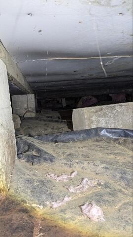 Fallen Insulation