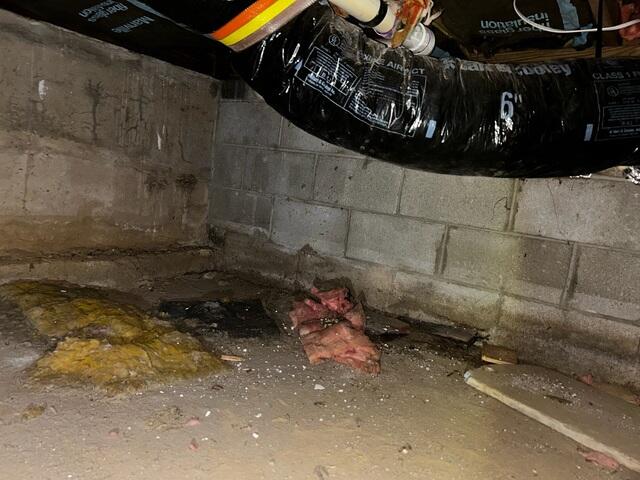Fallen Insulation
