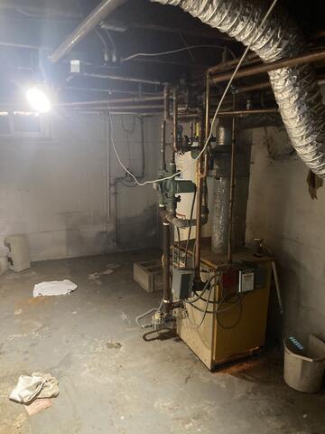 Mold All Over the Walls & More